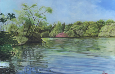 Ζωγραφική με τίτλο "Bolam Lake" από James Potter, Αυθεντικά έργα τέχνης, Λάδι