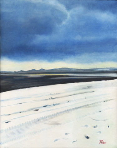 Schilderij getiteld "Stormy Snow" door James Potter, Origineel Kunstwerk, Olie