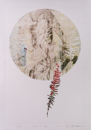 Отпечатки и Гравюры под названием "Flora" - Jan Bosak, Подлинное произведение искусства, Монотип