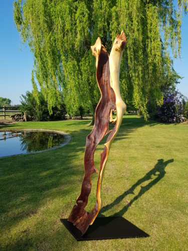 Sculpture titled "SKIN" by Jan Van Braekel, Original Artwork, Wood