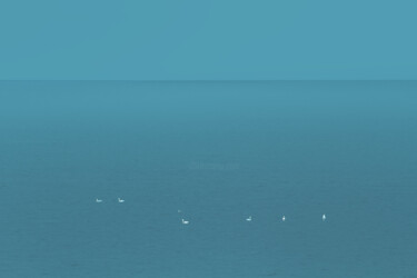 Photographie intitulée "Lonely swans" par Jan Walczewski, Œuvre d'art originale, Photographie numérique