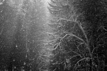 Fotografie getiteld "Winter in the magic…" door Jan Walczewski, Origineel Kunstwerk, Digitale fotografie