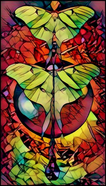 Fotografie mit dem Titel "Butterfly compositi…" von Jan Schrijver, Original-Kunstwerk, Manipulierte Fotografie