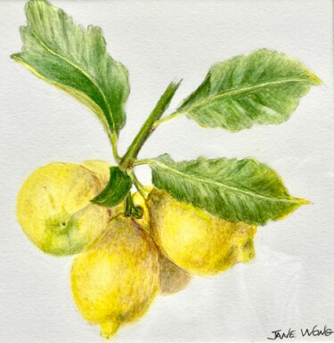 Desenho intitulada "Lemon Cluster" por Jane Wong, Obras de arte originais, Lápis