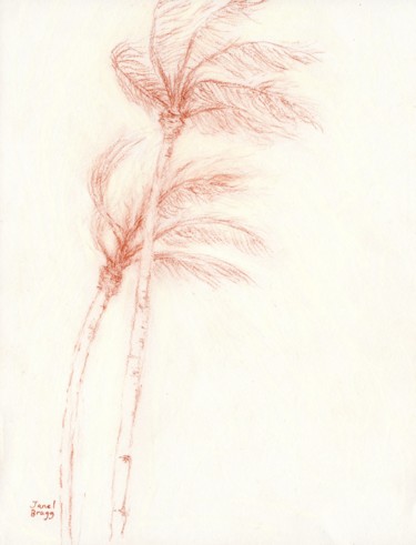 图画 标题为“Once Upon a Tropica…” 由Janel Bragg, 原创艺术品, 铅笔