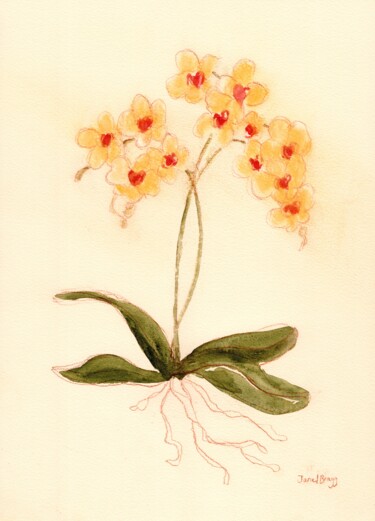 Malarstwo zatytułowany „Orchid from Susann'…” autorstwa Janel Bragg, Oryginalna praca, Akwarela