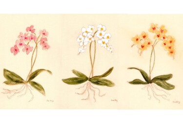 Malarstwo zatytułowany „Orchid from Susann'…” autorstwa Janel Bragg, Oryginalna praca, Akwarela