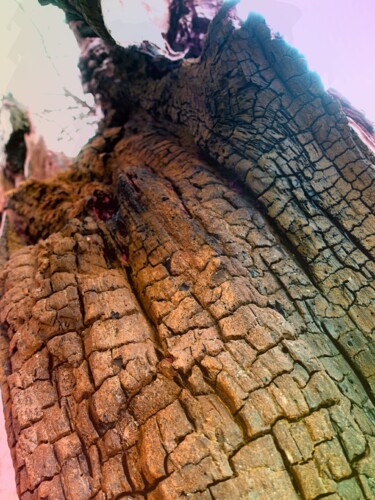 Photographie intitulée "Au coeur de l'arbre…" par Janie B., Œuvre d'art originale, Photographie numérique