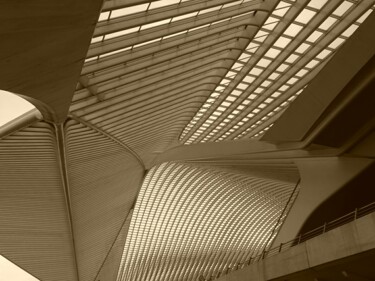 Photographie intitulée "Gare Calatrava de L…" par Janie B., Œuvre d'art originale