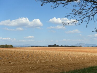 Fotografie getiteld "Valensole en mars/2…" door Janie B., Origineel Kunstwerk