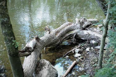 Photographie intitulée "Il gisait près de l…" par Janie B., Œuvre d'art originale, Photographie numérique