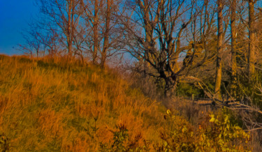 Fotografie mit dem Titel "november hillside" von Janos Gardonyi, Original-Kunstwerk, Digitale Fotografie