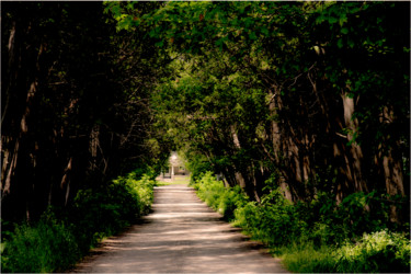 Photography titled "SOLITUDE" by Janos Gardonyi, Original Artwork