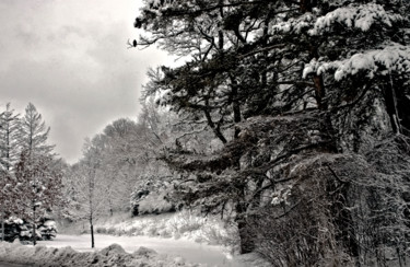 Photography titled "BIRD IN THE TREE!" by Janos Gardonyi, Original Artwork