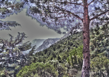 Photography titled "CEDARS OF LEBANON" by Janos Gardonyi, Original Artwork, Digital Photography