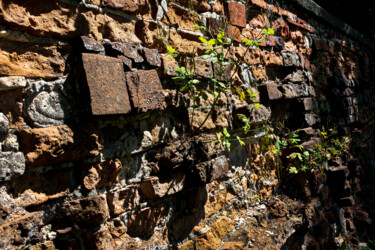 Fotografia intitulada "Brick wall study 2" por Jarek Rufer, Obras de arte originais, Fotografia digital