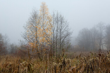 Fotografia intitolato "Following the Fog 1" da Jarek Rufer, Opera d'arte originale, Fotografia digitale