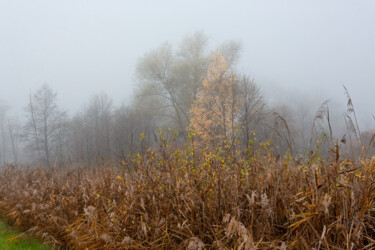 Fotografia intitolato "Following the Fog 8" da Jarek Rufer, Opera d'arte originale, Fotografia digitale