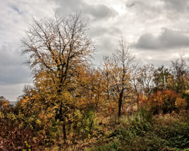 Фотография под названием "Autumn in the town 3" - Jarek Rufer, Подлинное произведение искусства, Не манипулируемая фотография