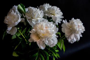 Fotografia zatytułowany „Blooming 'White Peo…” autorstwa Jarek Rufer, Oryginalna praca, Fotografia cyfrowa
