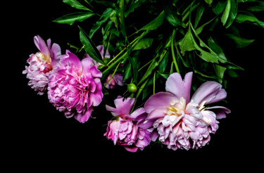 Fotografia intitolato "Blooming Paeonies 3" da Jarek Rufer, Opera d'arte originale, Fotografia digitale