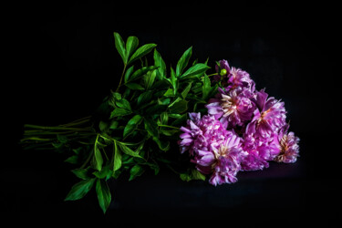 Photography titled "Blooming Peonies 6" by Jarek Rufer, Original Artwork, Digital Photography