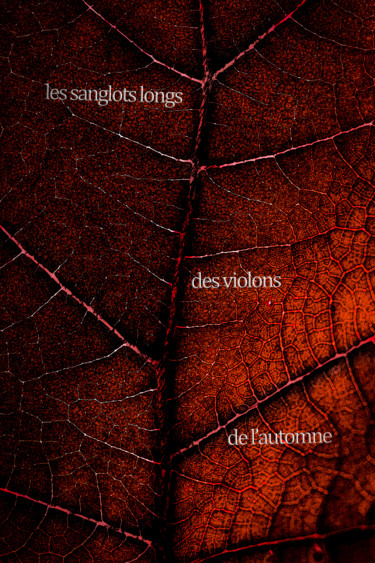Fotografia intitolato "Feuille d'automne" da Jean-Christophe Mandelli, Opera d'arte originale, Fotografia digitale