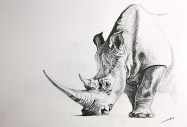 Dessin intitulée "Dessin rhinocéros" par Jean-Baptiste De Poret, Œuvre d'art originale, Autre