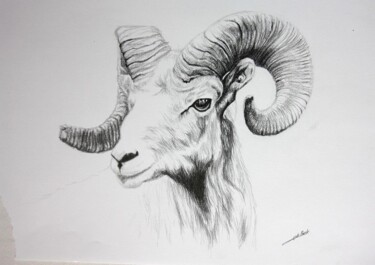 Dessin intitulée "Mouflon" par Jean-Baptiste De Poret, Œuvre d'art originale, Autre