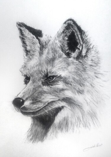 Dessin intitulée "Renard" par Jean-Baptiste De Poret, Œuvre d'art originale, Fusain