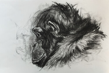 「Portrait de chimpan…」というタイトルの描画 Jean-Baptiste De Poretによって, オリジナルのアートワーク, 木炭