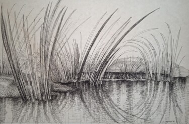 Tekening getiteld "les roseaux" door Jean-Claude Bemben, Origineel Kunstwerk, Inkt