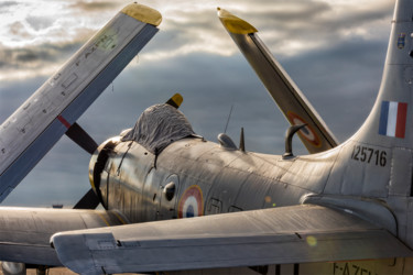 Fotografía titulada "SKYRAIDER  2021" por Jean Claude Lataste, Obra de arte original, Fotografía digital