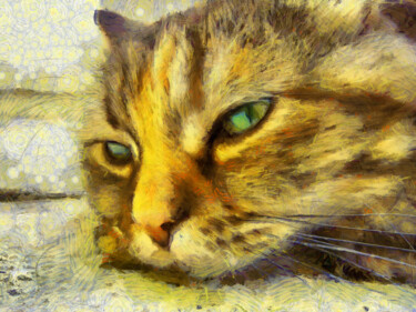 Photographie intitulée "Portrait de chatte…" par Jean-Louis Bouzou, Œuvre d'art originale, Photographie numérique