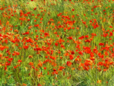 Photography titled "Coquelicots - 5" by Jean-Louis Bouzou, Original Artwork, Digital Photography