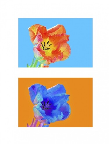 Arte digitale intitolato "Tulipe Perroquet" da Jean-Luc Bohin, Opera d'arte originale