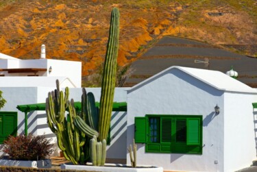 Photographie intitulée "CACTUS HOUSE LANZAR…" par Jean-Luc Bohin, Œuvre d'art originale