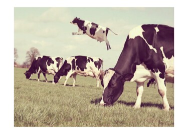 Цифровое искусство под названием "Quirky Cow !" - Jean-Marie Gitard (Mr STRANGE), Подлинное произведение искусства, Фотомонт…