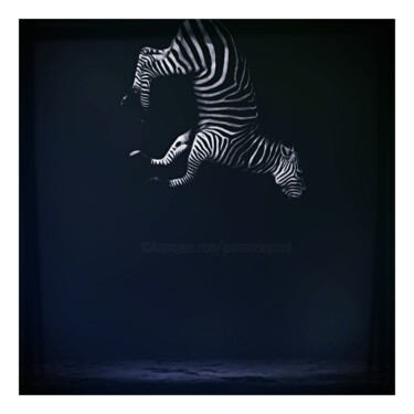 数字艺术 标题为“Equus Zebra Last Sp…” 由Jean-Marie Gitard (Mr STRANGE), 原创艺术品, 照片蒙太奇