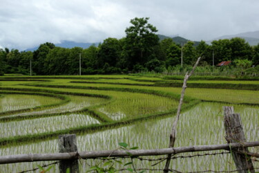 Photographie intitulée "Rizières vers Luang…" par Jean-Marie Virat, Œuvre d'art originale, Photographie numérique