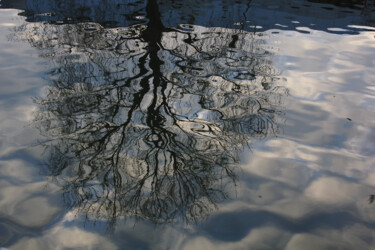 Фотография под названием "tree" - Jean-Marie Virat, Подлинное произведение искусства, Цифровая фотография