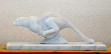 Скульптура под названием "Carrara Marble Wild…" - Jean-Michel Garino, Подлинное произведение искусства, Камень