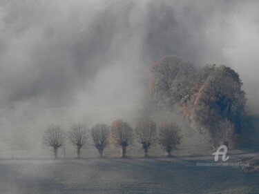 Фотография под названием "Six petits arbres" - Jean-Michel Liewig, Подлинное произведение искусства, Не манипулируемая фотог…