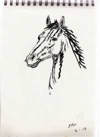 Zeichnungen mit dem Titel "Croquis Cheval" von Jean-Michel Liewig, Original-Kunstwerk