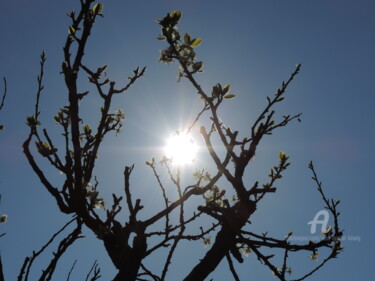 Fotografie getiteld "Soleil en parenthèse" door Jean-Michel Liewig, Origineel Kunstwerk