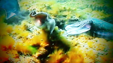 Photographie intitulée "le beau coquillage" par Jean-Pierre Tastevin, Œuvre d'art originale, Photographie numérique