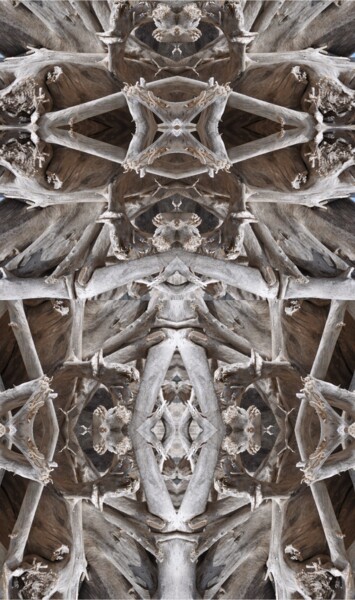 Photographie intitulée "La mante religieuse" par Jean-Thomas Bédard, Œuvre d'art originale, Photographie numérique
