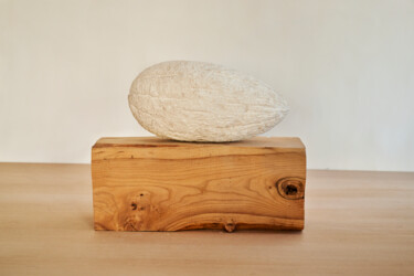 Escultura intitulada "Le Melon" por Jeanbaptiste Van Den Heede, Obras de arte originais, Pedra