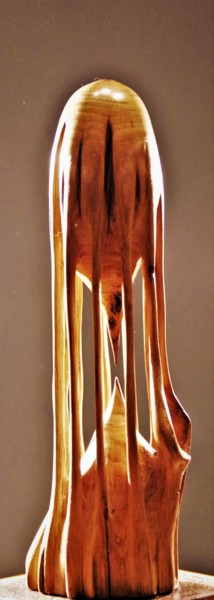 Sculpture titled "Hot-tension 11" by Jean-Charles Ferrand, Original Artwork, Wood