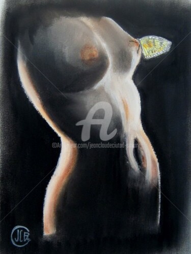 Drawing titled "L'effet papillon" by Jc C-S ' Art, Original Artwork, Pastel Mounted on Wood Panel